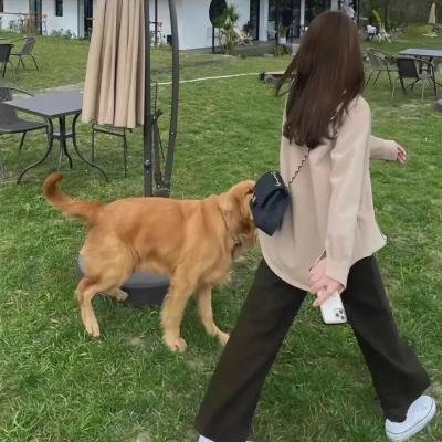 春意如狂